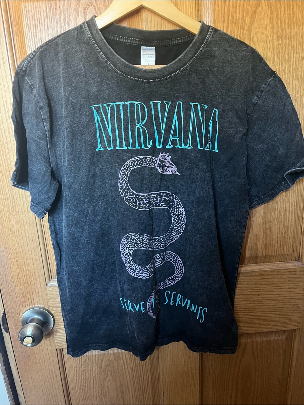 NIRVANA Black Tee with Teal Logo and Snake Graphic